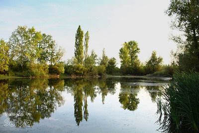 Vojvođanska ljetovališta: Bara kod Sonte 